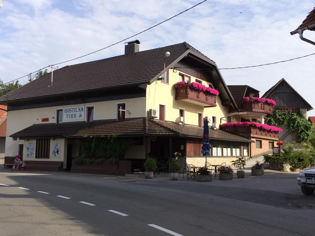 Gostilna Turk Hotel Hotedrsica Buitenkant foto